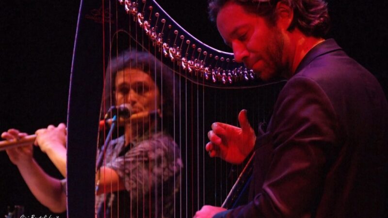 Max Castlunger, bansuri flute & Nartan, electro harp