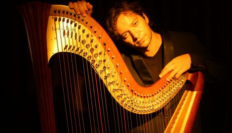 Nartan electroacoustic harp. Photo by A. Holzner.