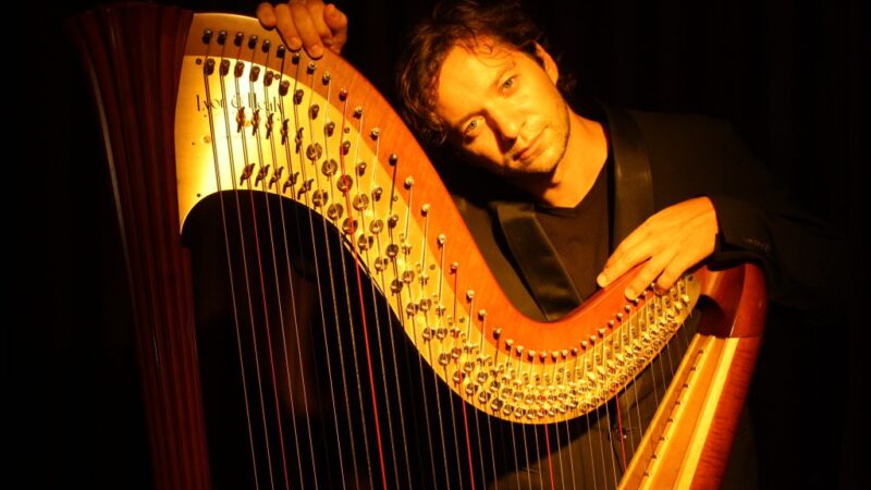 Nartan electroacoustic harp. Photo by A. Holzner.