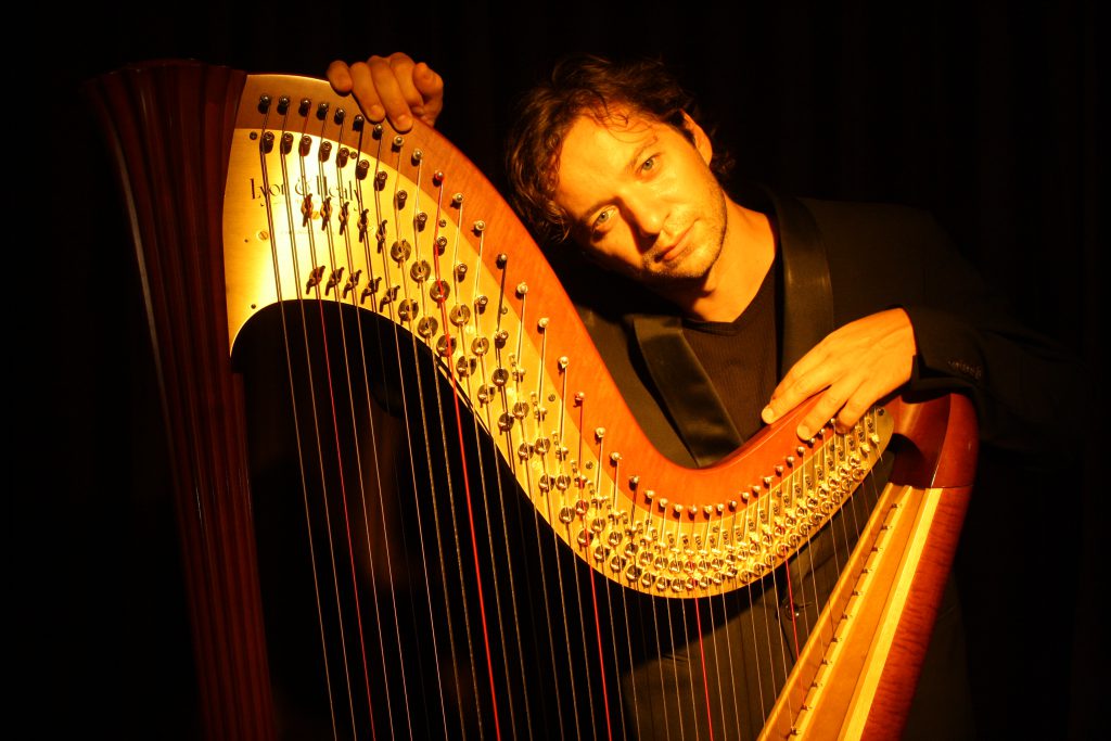 Nartan electroacoustic harp. Photo by A. Holzner.