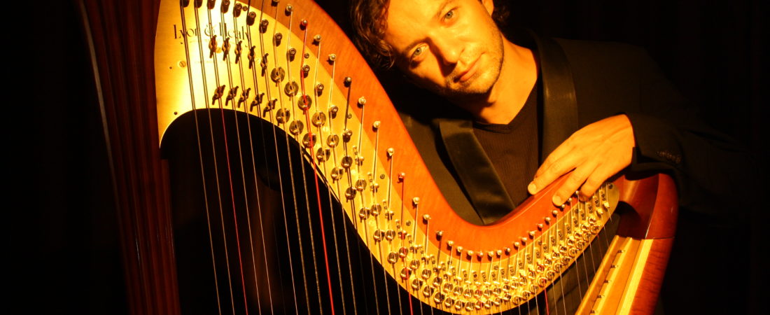 Nartan electroacoustic harp. Photo by A. Holzner.