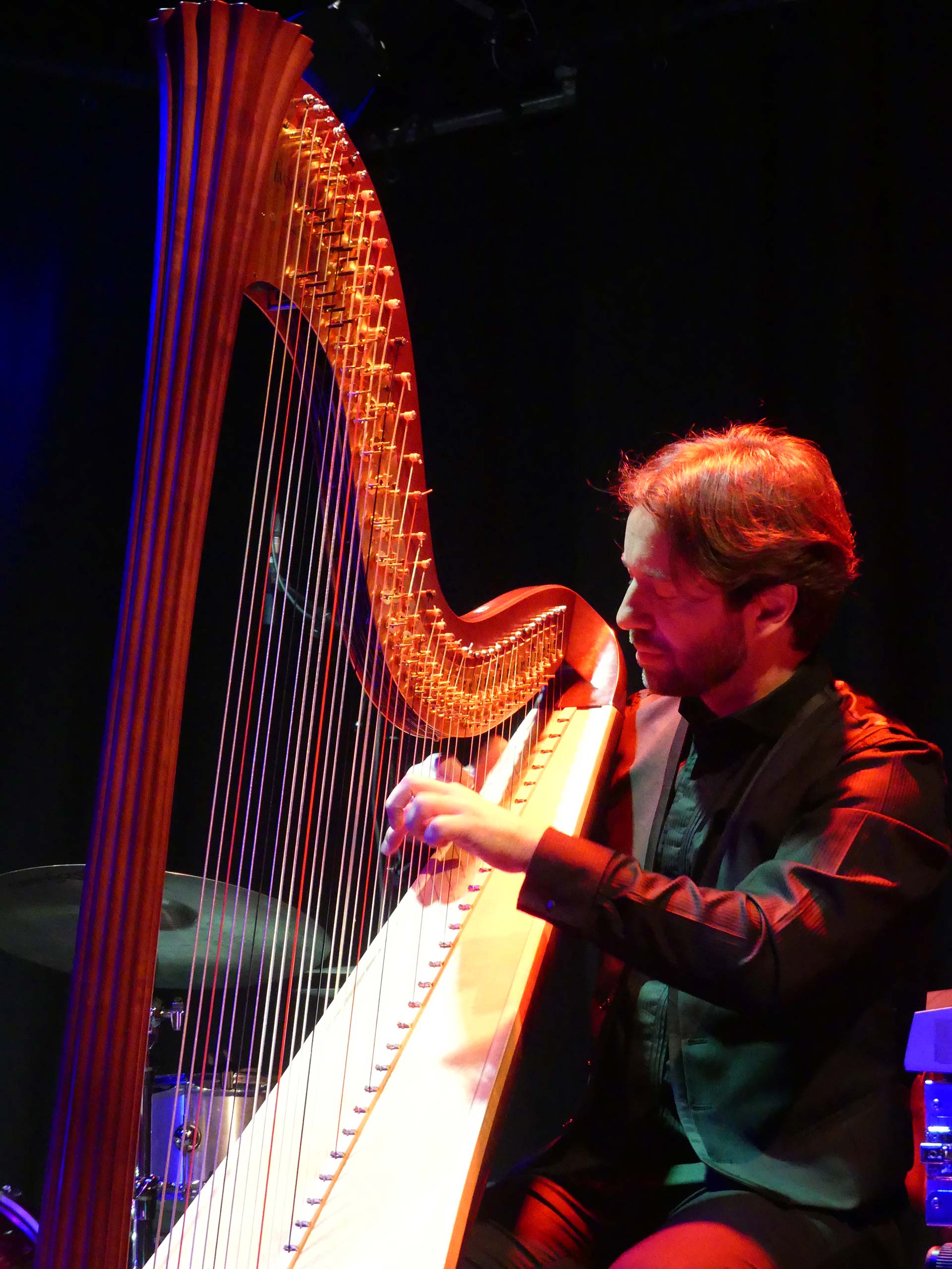 Nartan-at-the-Harp-P1060810---Photo-Jacopo-Bellini
